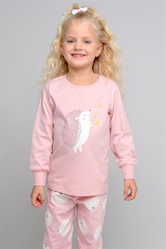 К 1512/розовый зефир,ежики пижама детская (фуфайка дл.рукав+брюки) - фото 22746