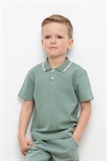 КР 302233/полынь к424 футболка с воротником поло для мальчика